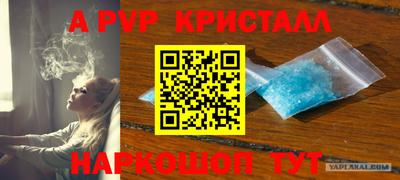 спиды Обь