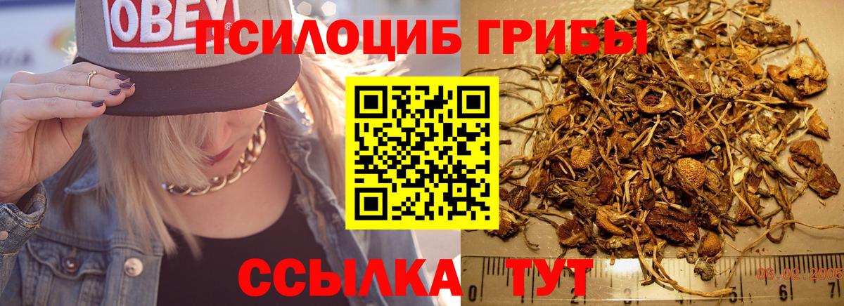 купить наркотик  Псилоцибиновые грибы Cubensis  Вход с VPN  Тольятти 